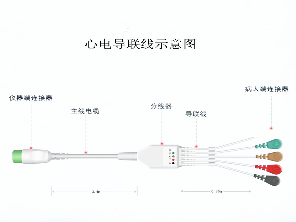 国产麻豆精品视频心電導聯線