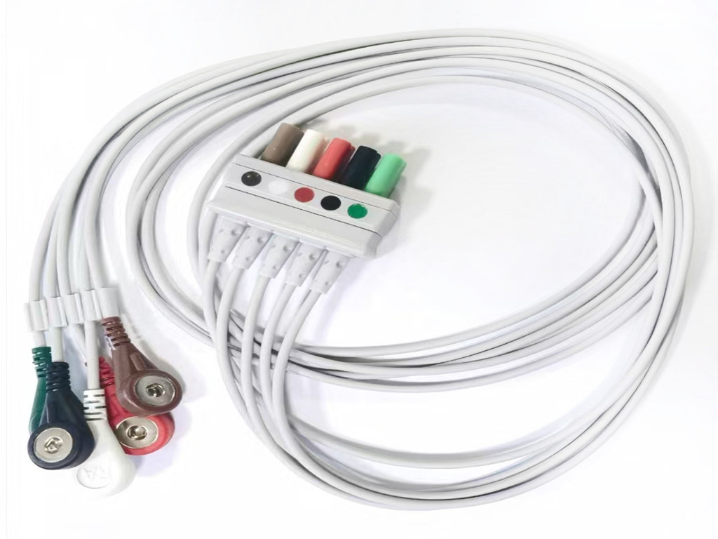 国产麻豆精品视频心電導聯線