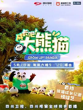 成長吧！大熊貓
