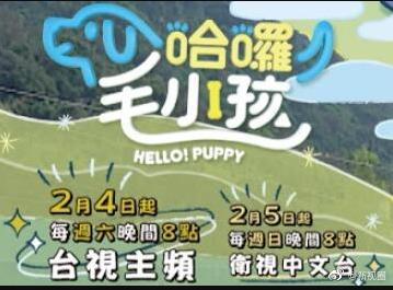 哈囉！毛小孩