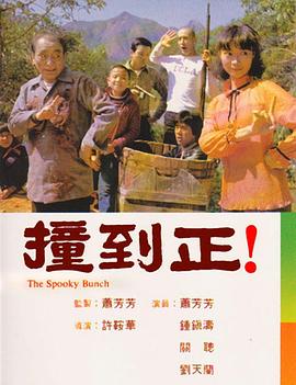 撞到正(劇情解說）