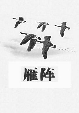 雁陣1991[電影解說]